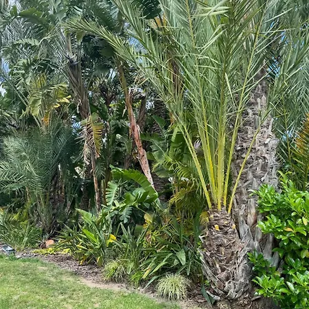 Natura Playa By Sunset Apartment La Venteta
